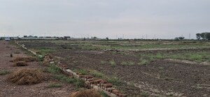 Plot Area in  Plot at Jewar – for Sale