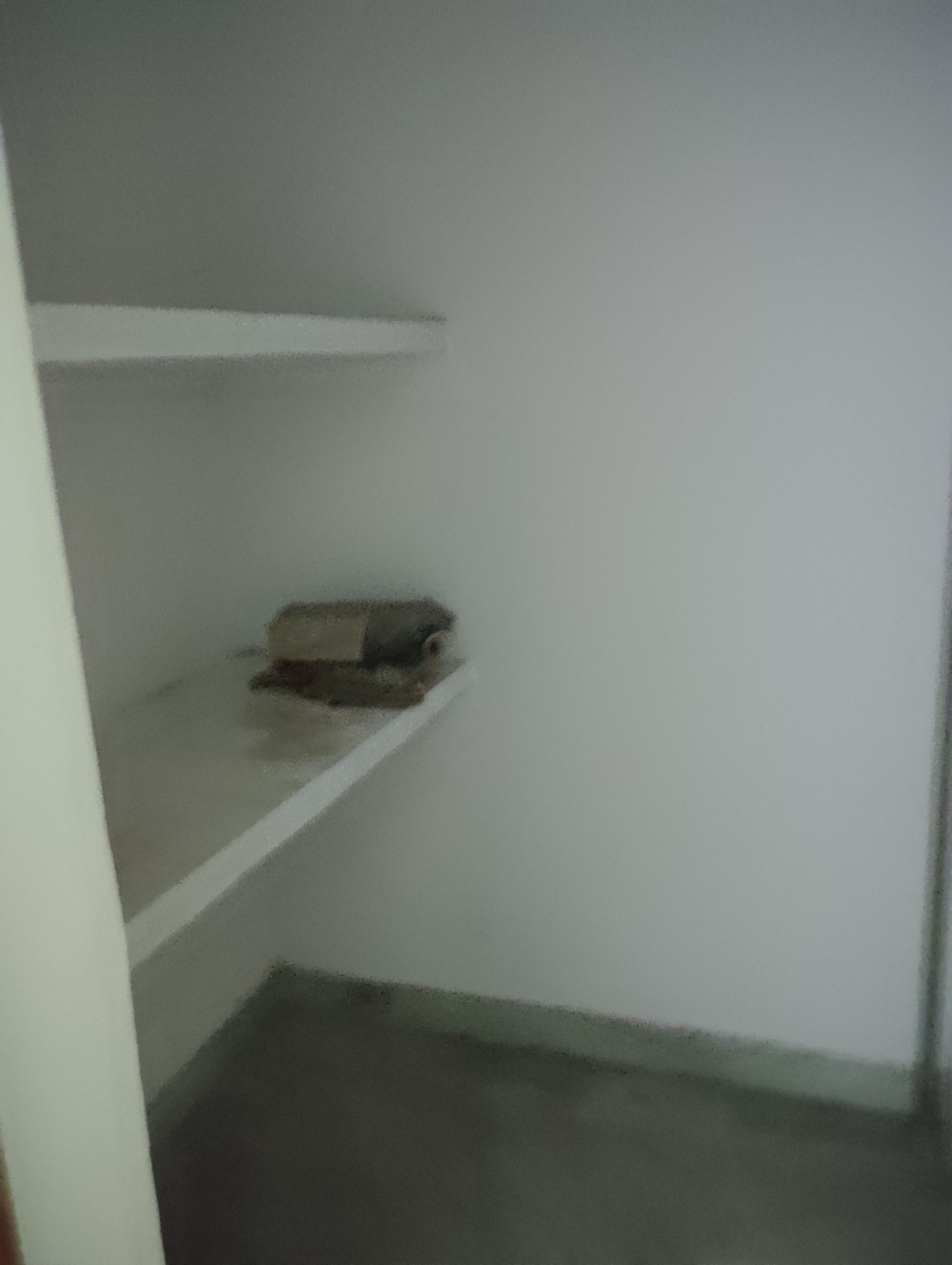 2 BHK + Pooja Room Independent House For Rent in Ram Property
