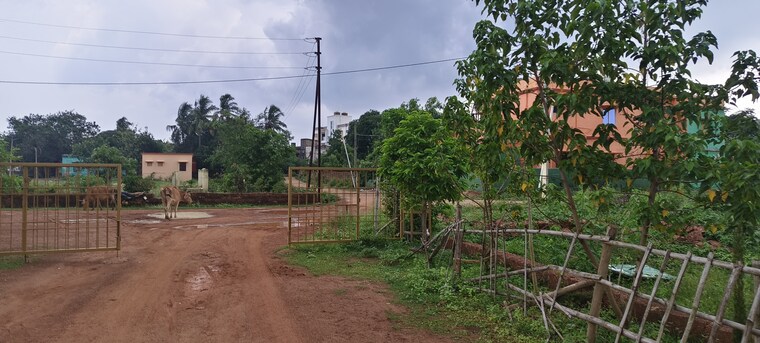 undefined, sijua  1501 Sq.Ft. Plot In Sijua Bhubaneswar 8786146