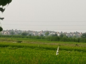 Plot Area in  Plot at Pipli – for Sale