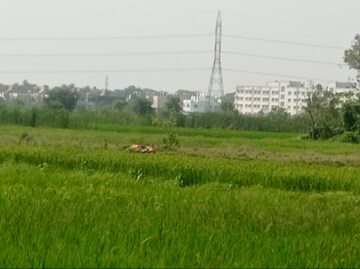 Plot Area in  Plot at Pipli – for Sale