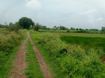 Plot Area in  Plot at Pipli – for Sale