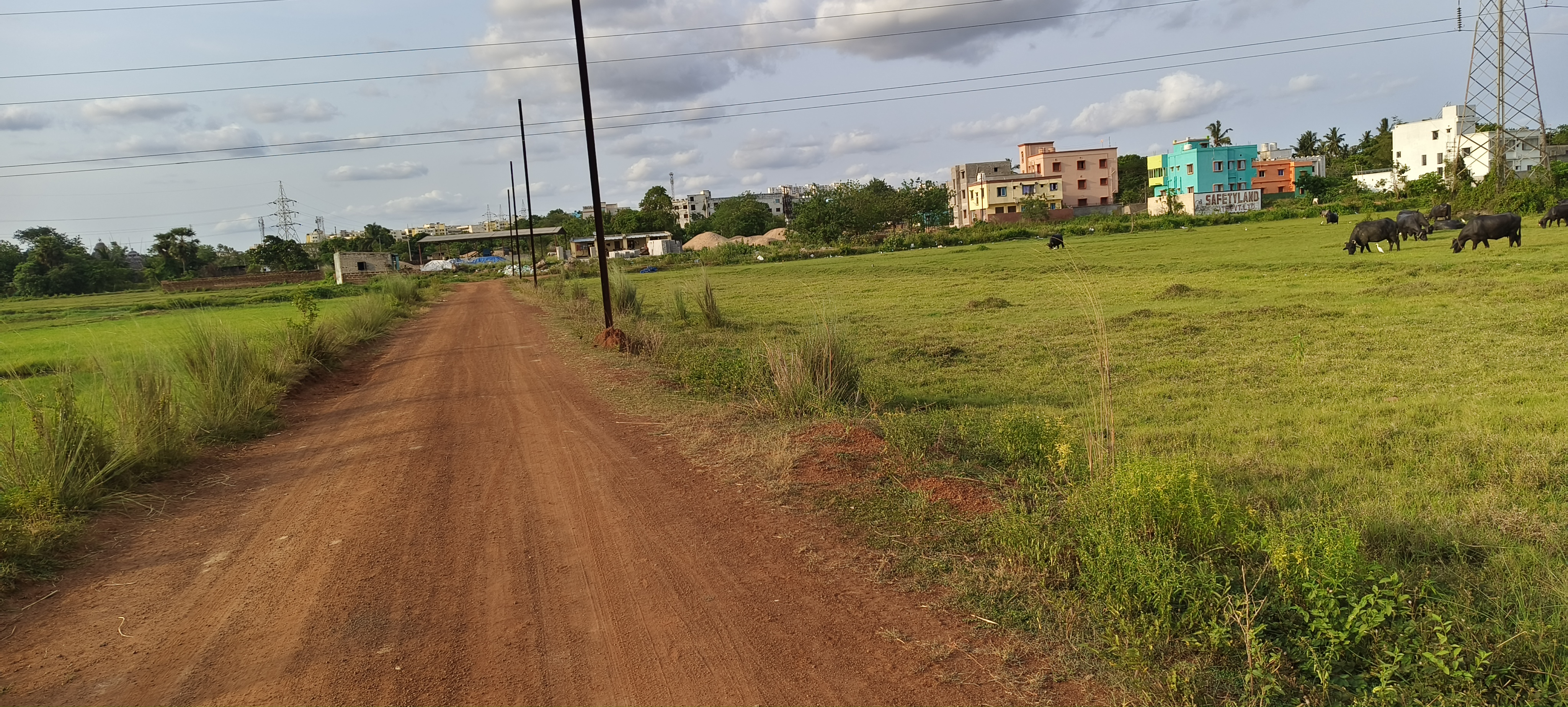 Plot For Sale in Aiims City Patrapoda 