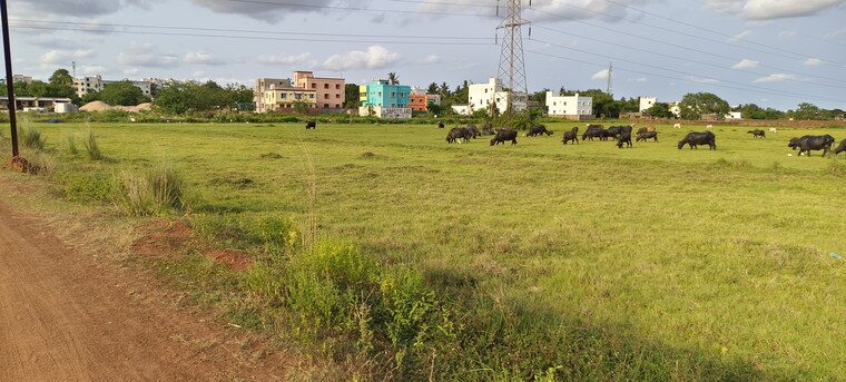 undefined, patrapada  1501 Sq.Ft. Plot In Patrapada Bhubaneswar 8786302