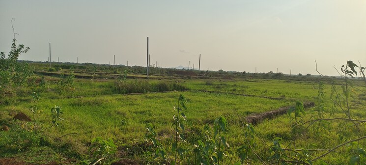 undefined, sijua  1502 Sq.Ft. Plot In Sijua Bhubaneswar 8786334