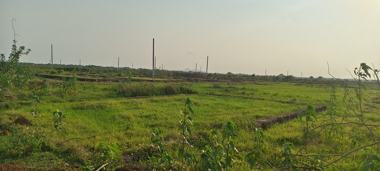 undefined, sijua  1502 Sq.Ft. Plot In Sijua Bhubaneswar 8786334