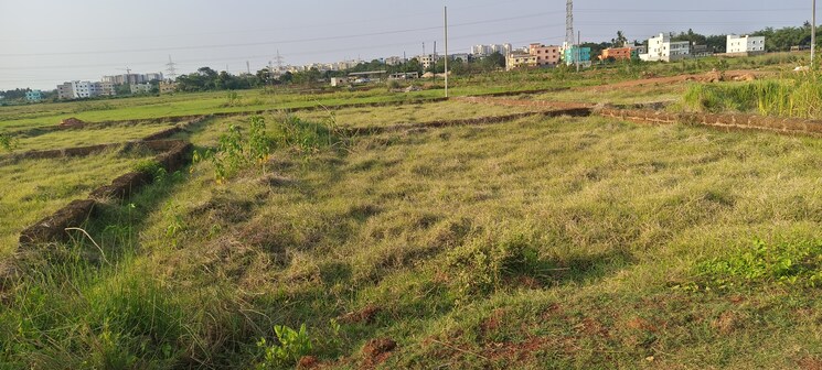 Garden, sijua  1502 Sq.Ft. Plot In Sijua Bhubaneswar 8786334