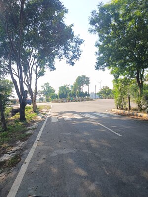  Plot For Sale in New Moradabad