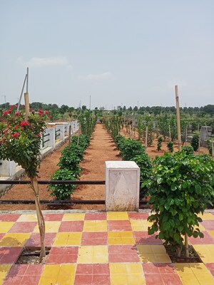  Plot – Garden View at Aduri Golden Heights, Shadnagar - for Sale