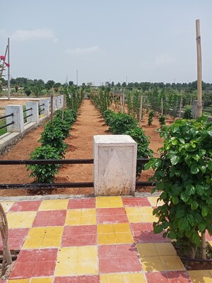  Plot – Garden View at Aduri Golden Heights, Shadnagar - for Sale