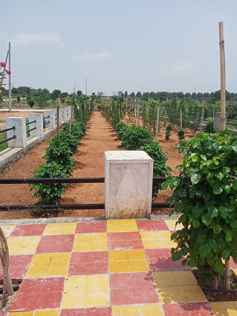 Garden, aduri-golden-heights  150 Sq.Yd. Plot In Shadnagar Hyderabad 8786468
