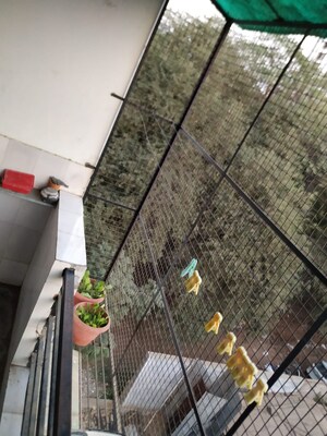  3 BHK Apartment at Chhani – for Sale