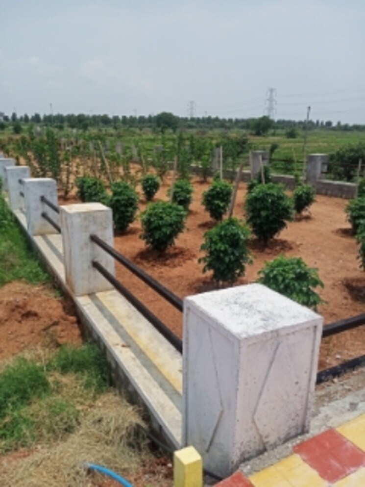 Exterior View, aduri-golden-heights  147 Sq.Yd. Plot In Shadnagar Hyderabad 8786498