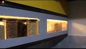 Bedroom in 3 BHK Apartment at DS Max Starry, Electronic City Phase I – for Sale