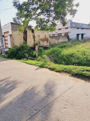 Plot Area in  Land at Venigandla – for Sale