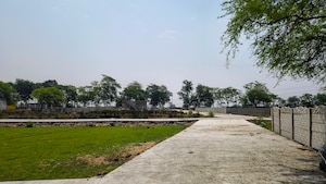 Plot Area in  Plot at Mopka – for Sale