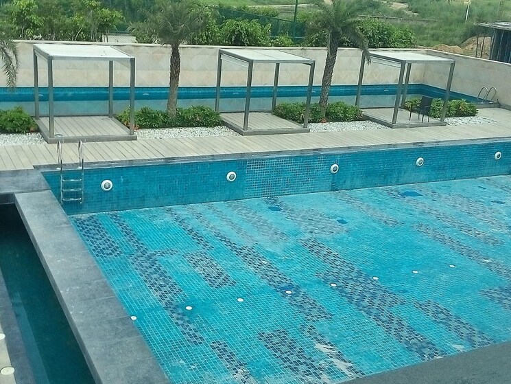 Swimming Pool, omaxe-new-chandigarh  1800 Sq.Ft. Plot In North Mullanpur Chandigarh 8786806