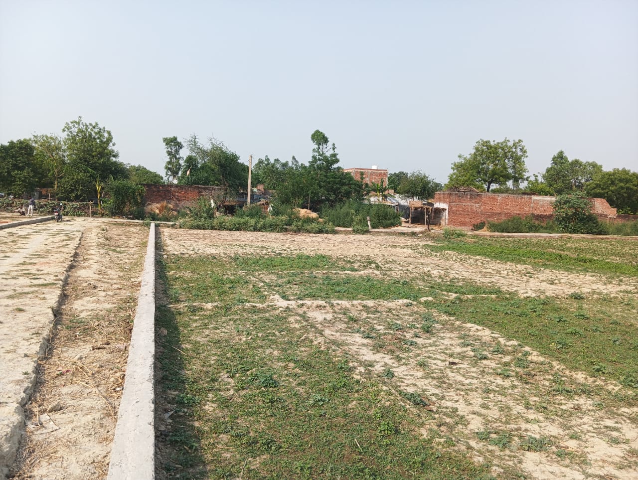 Plot For Sale in Ramswaroop University 
