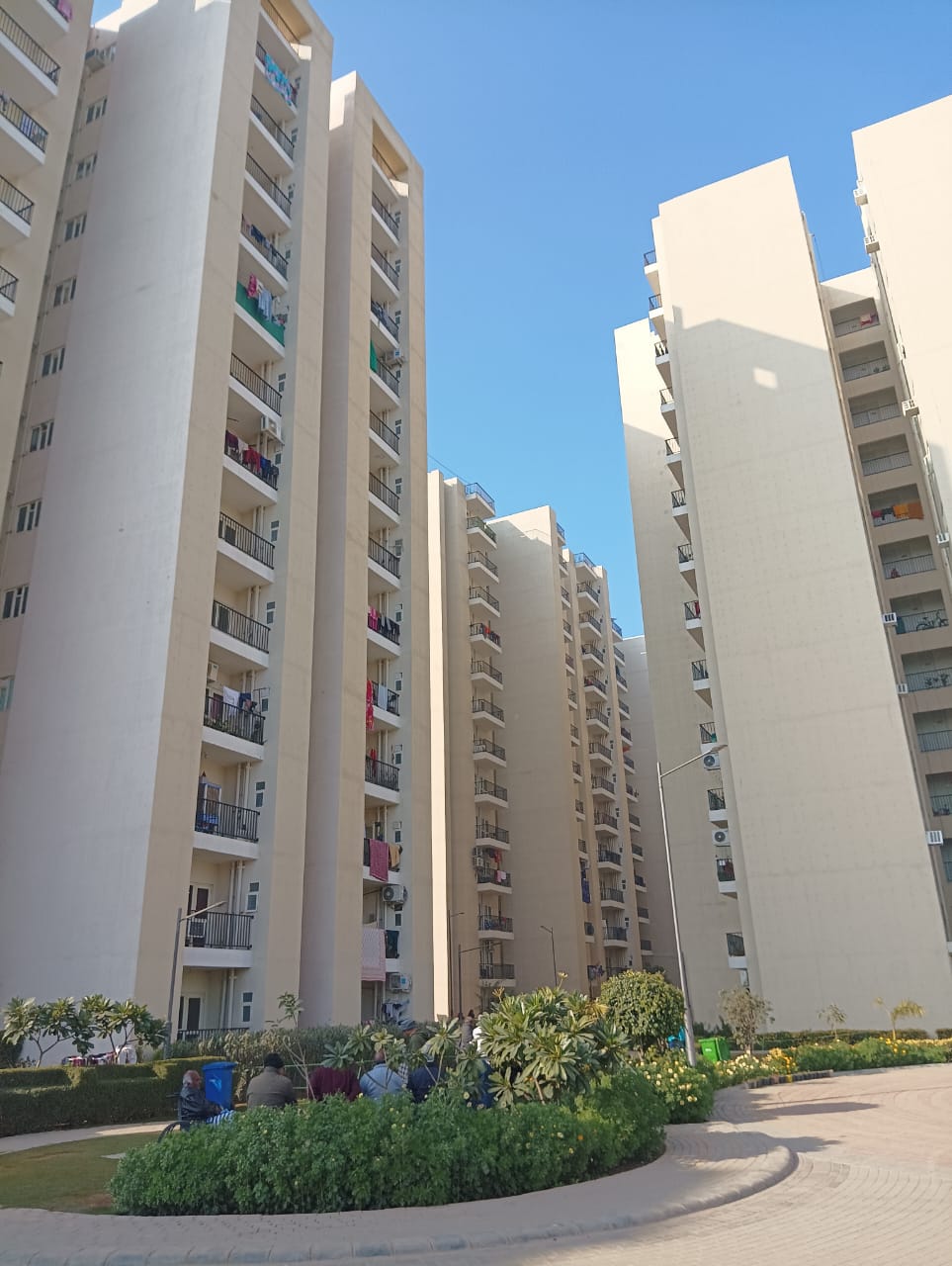 3 BHK + Pooja Room Apartment For Sale in GLS Avenue 51