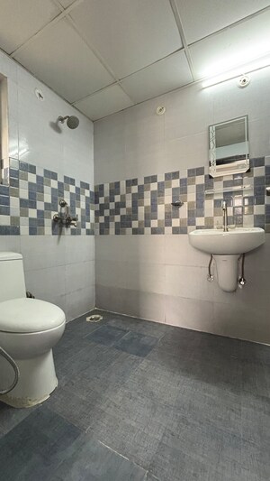 Bathroom in 2 BHK Apartment at White Orchid, Sector 84 – for Sale