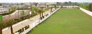  Plot – Exterior View View at Anant Raj Ashok Estate, Sector 63a - for Sale