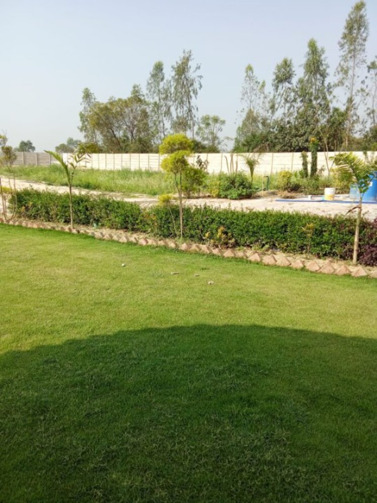 Garden, amar shaheed path  1000 Sq.Ft. Plot In Amar Shaheed Path Lucknow 8787426