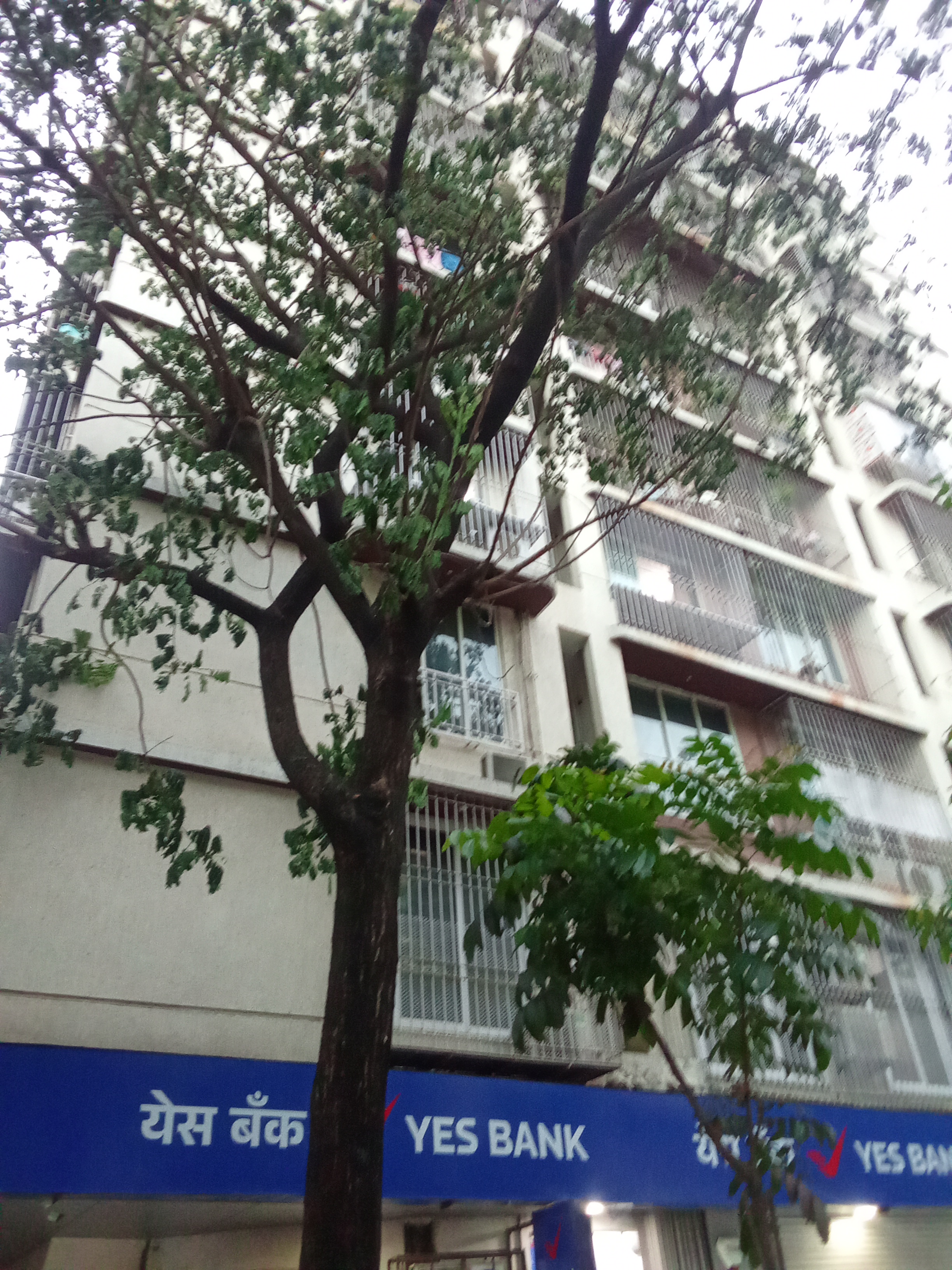 2 BHK Apartment For Rent in Aditya Audumbar Chhaya