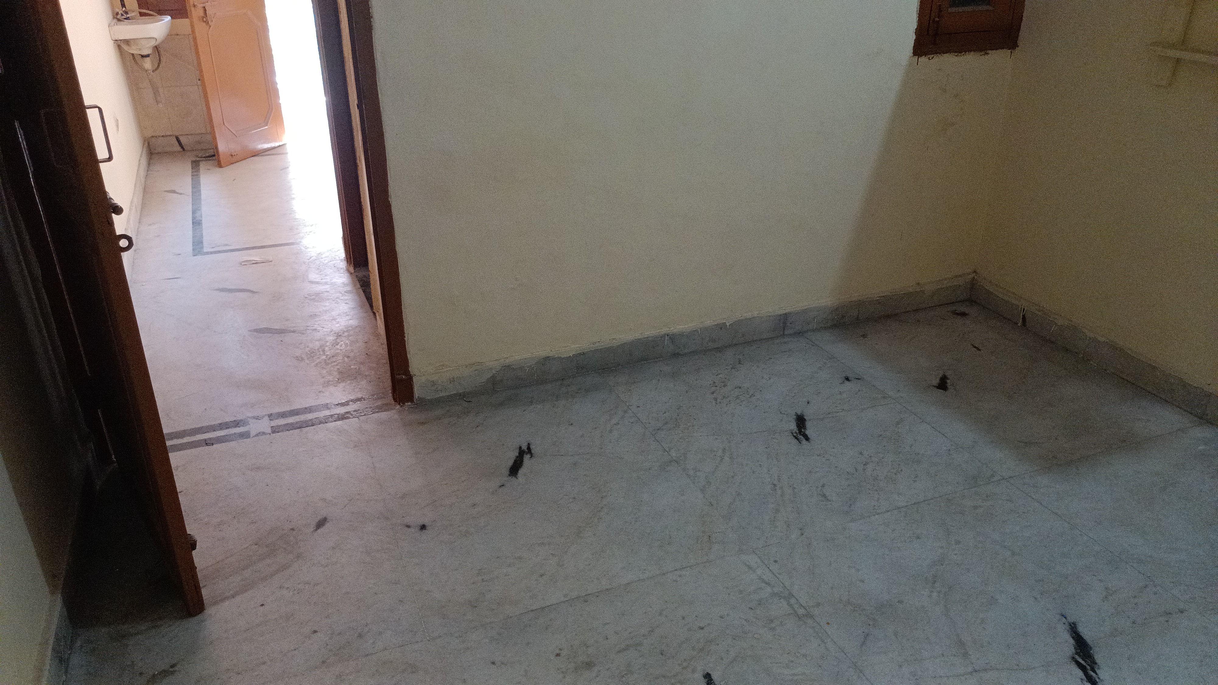 1 BHK Builder Floor For Rent in Builder Floor 