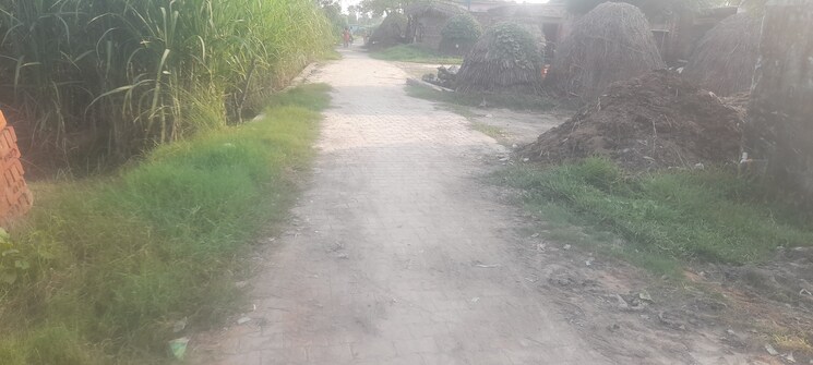 Exterior View, neelendras-amity-greens  1200 Sq.Ft. Plot In Gomti Nagar Lucknow 8787680