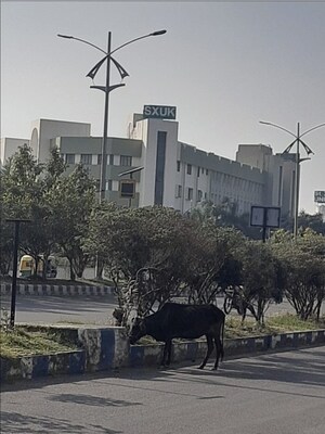 3 BHK Apartment – Exterior View View at New Town - for Sale