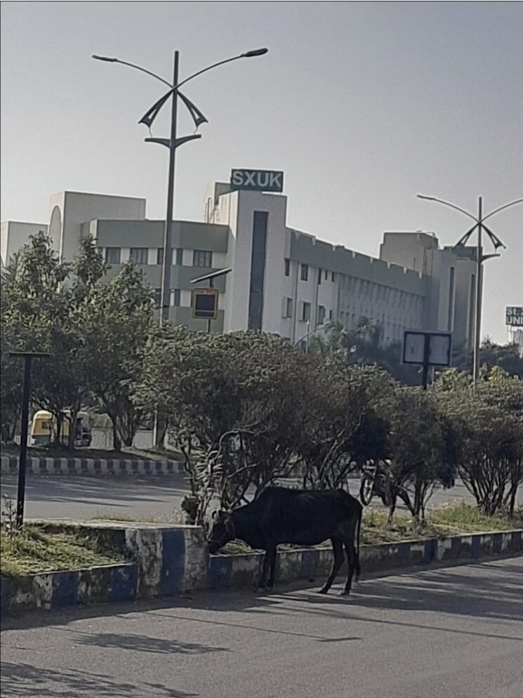 Exterior View, new town 3 Bedroom 1485 Sq.Ft. Apartment In New Town Kolkata 8788223