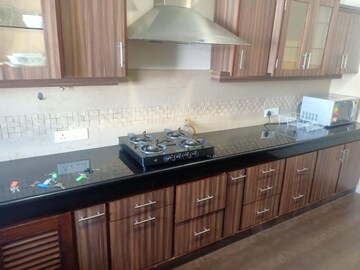 Kitchen in 3 BHK Builder Floor at Sector 15 – for Rent