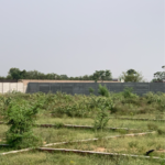 100 Sq.Yd. Plot in Dream Home