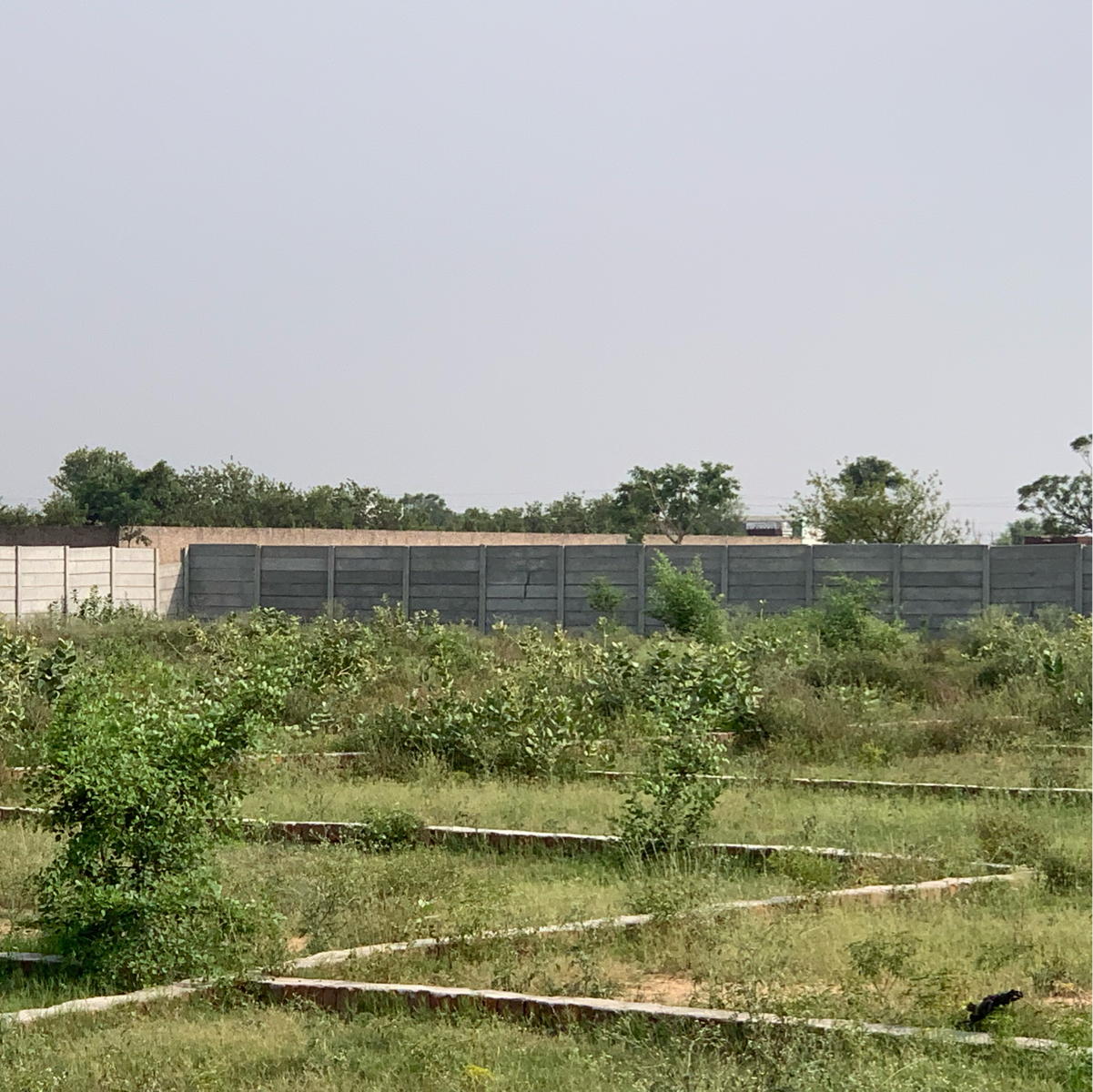 Plot For Sale in Dream Home