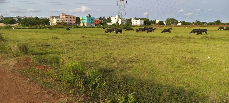 undefined, patrapada  1211 Sq.Ft. Plot In Patrapada Bhubaneswar 8788554