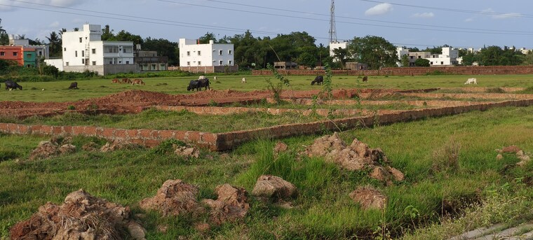 undefined, patrapada  1211 Sq.Ft. Plot In Patrapada Bhubaneswar 8788554