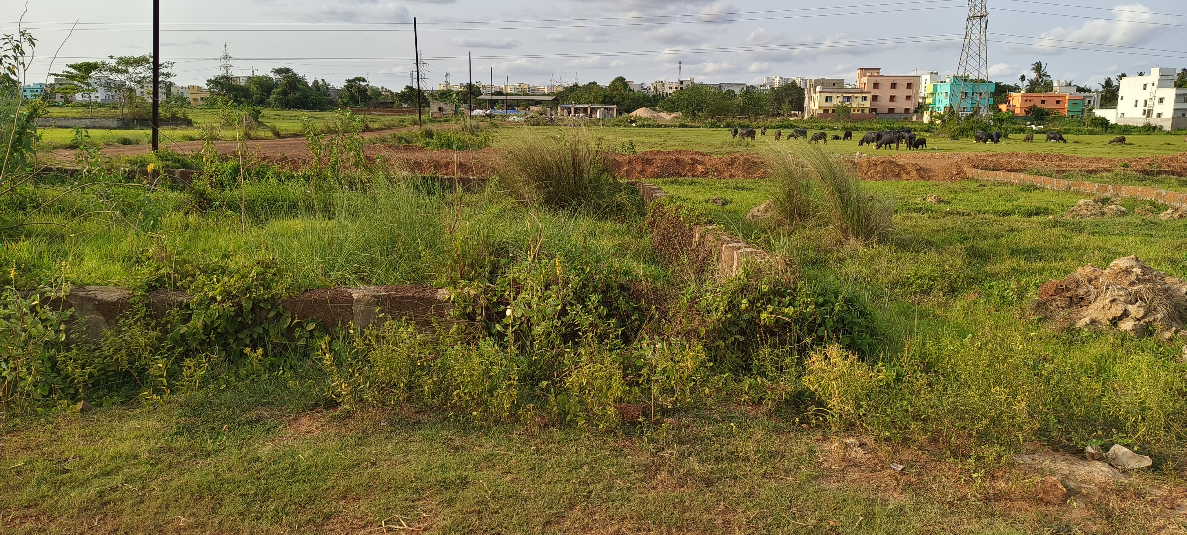 Plot For Sale in Patrapoda Bhubaneswar 
