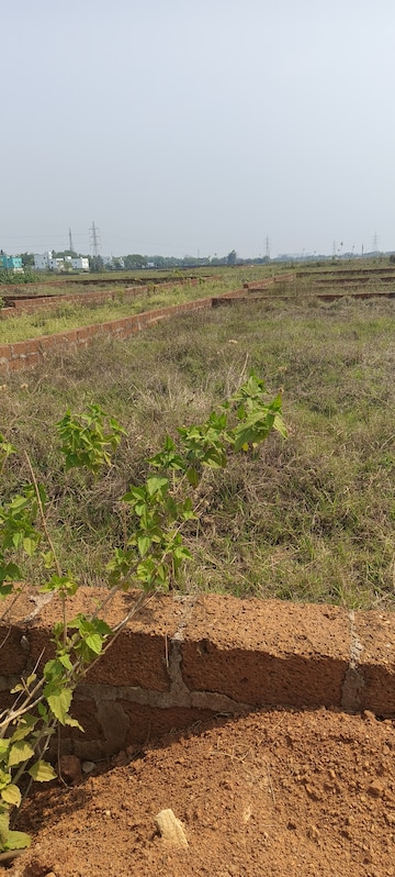 Plot Area in  Plot at Sijua – for Sale