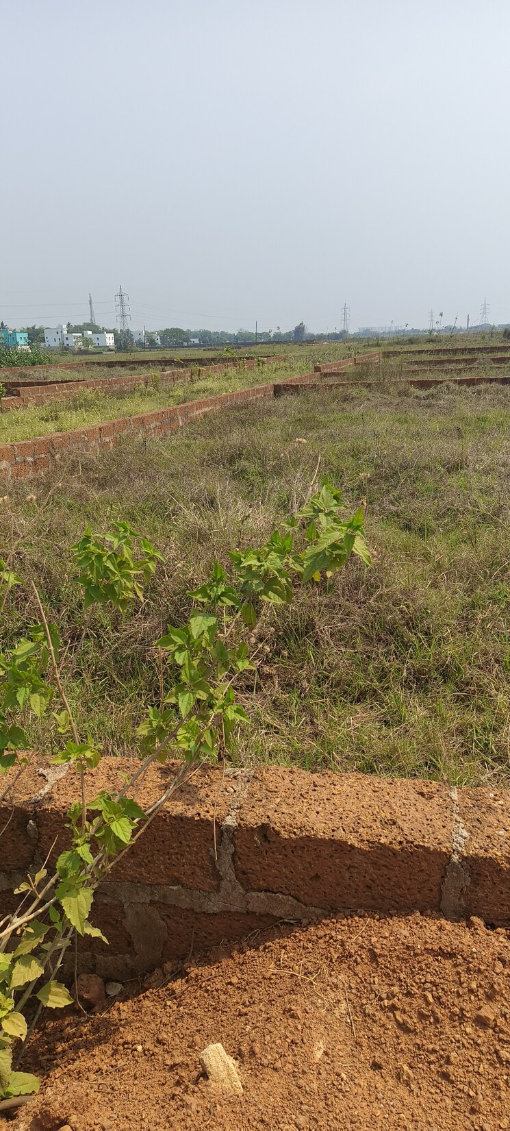 undefined, sijua  1502 Sq.Ft. Plot In Sijua Bhubaneswar 8788611