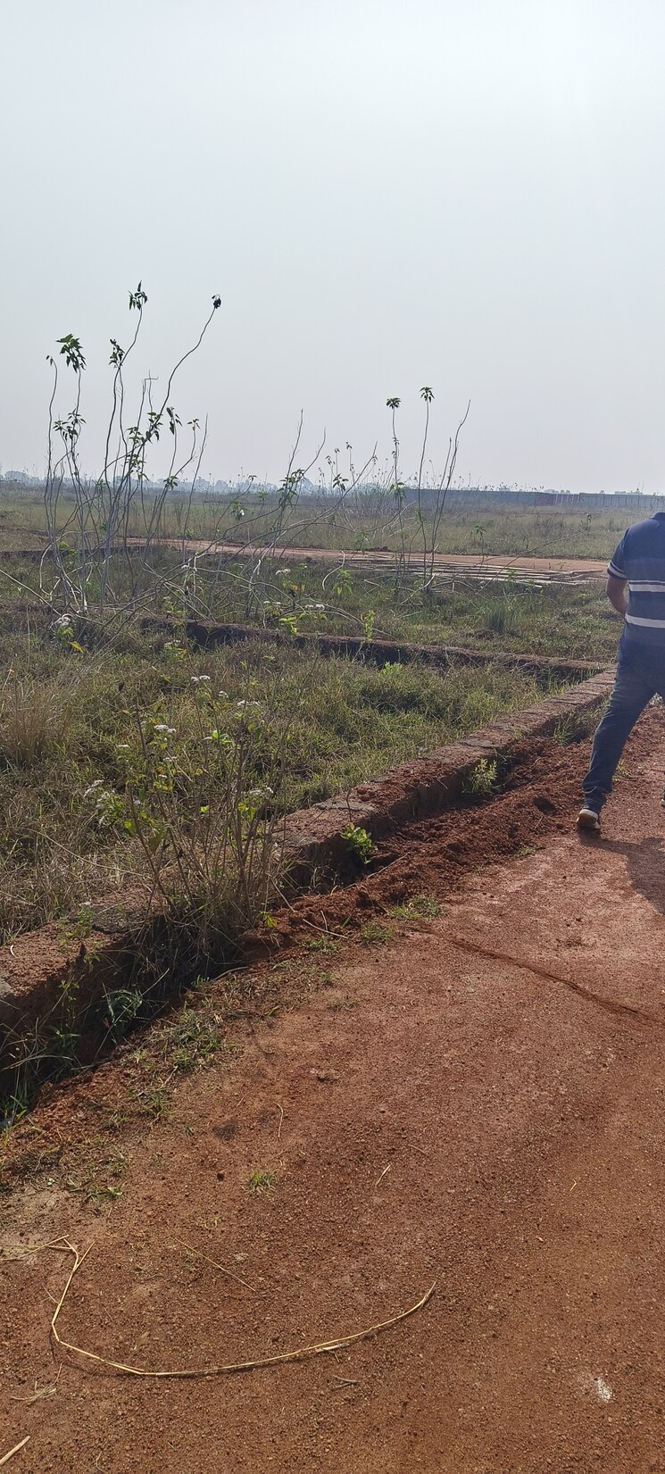 undefined, patrapada  12016 Sq.Ft. Plot In Patrapada Bhubaneswar 8788613