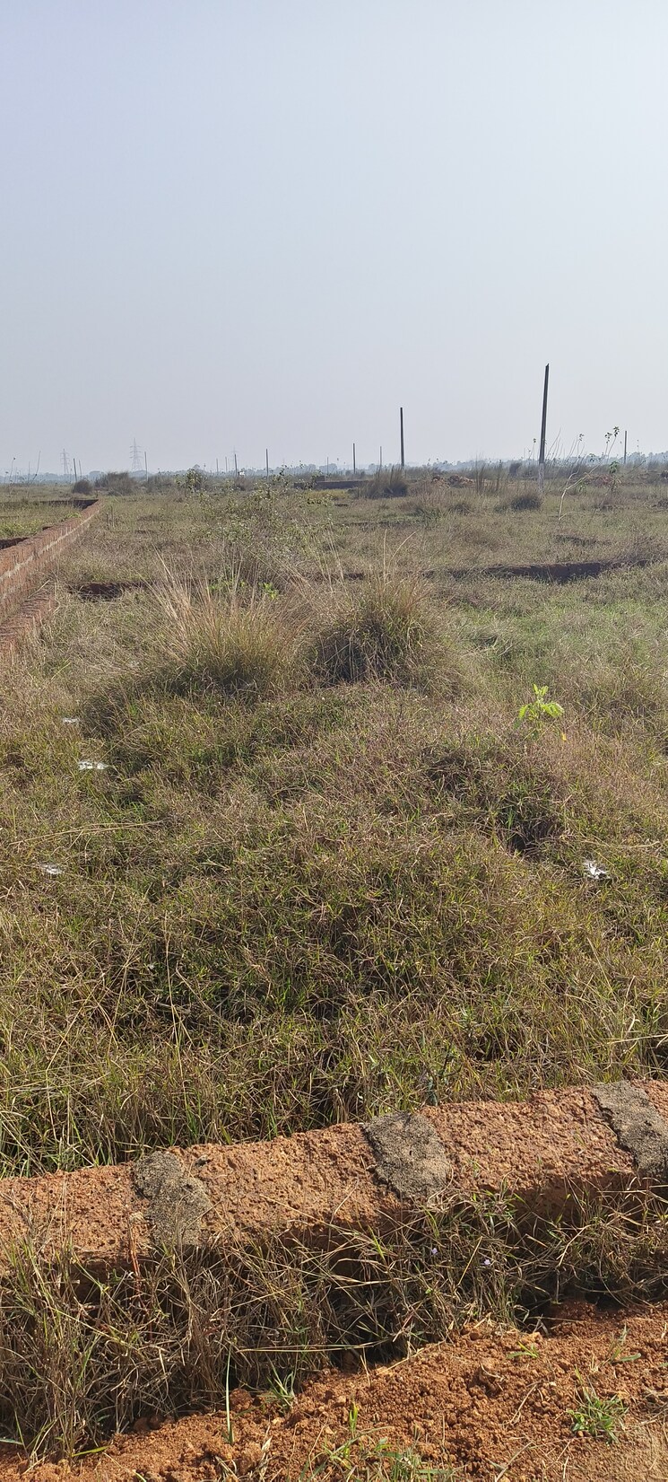 undefined, patrapada  12016 Sq.Ft. Plot In Patrapada Bhubaneswar 8788613