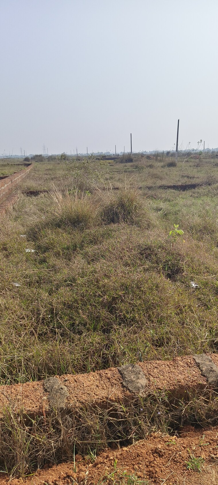 undefined, patrapada  12016 Sq.Ft. Plot In Patrapada Bhubaneswar 8788613