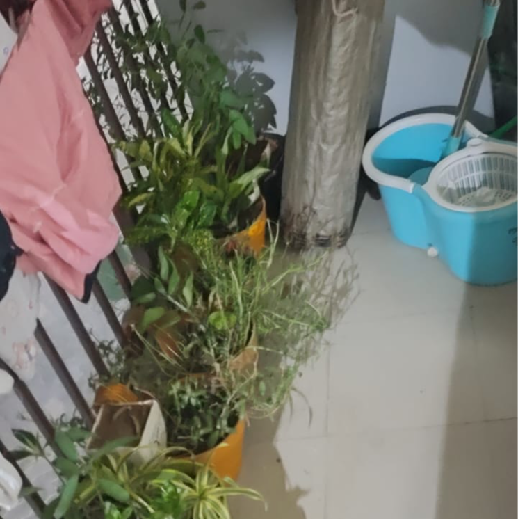 Balcony, avl-36-gurgaon 1 Bedroom 386 Sq.Ft. Apartment In Sector 36a Gurgaon 8788619