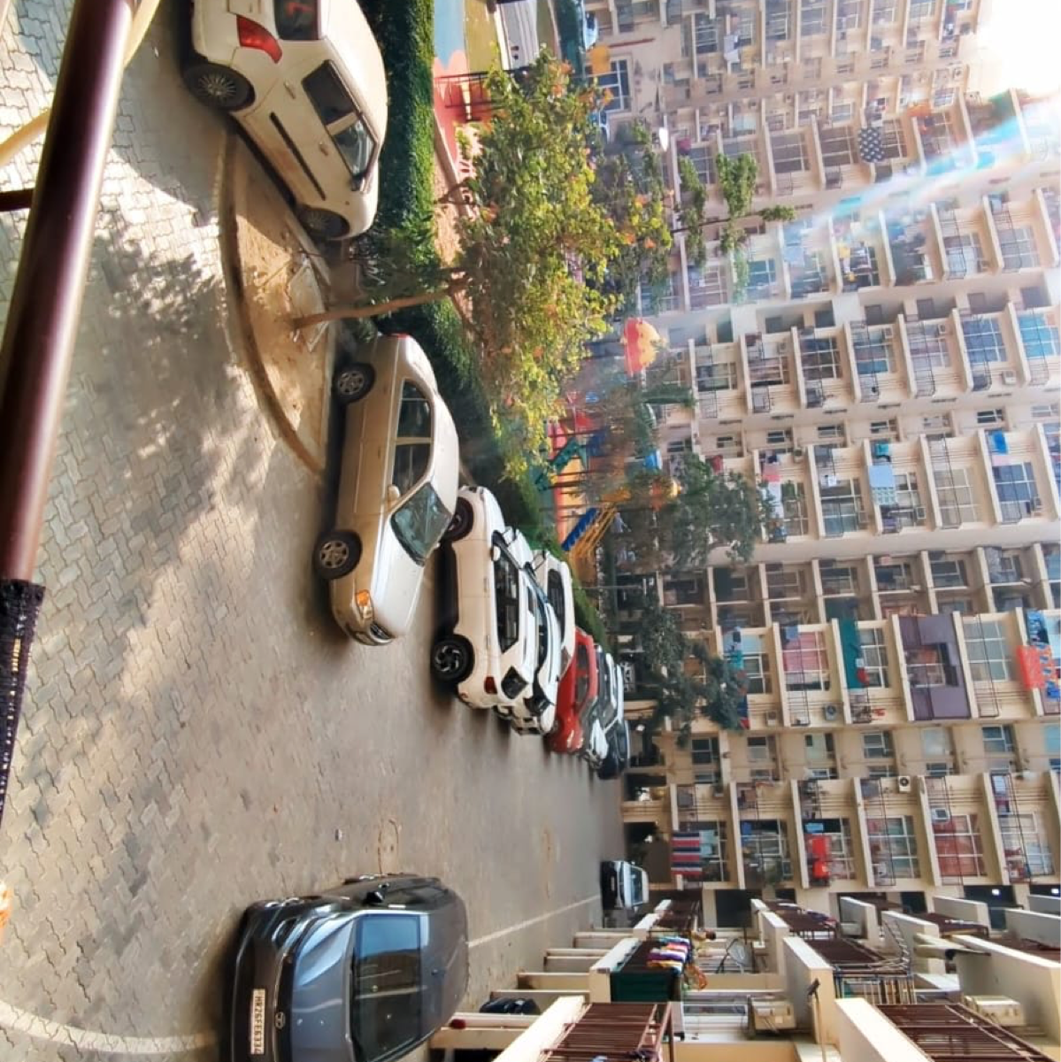 1 BHK Apartment For Rent in AVL 36 Gurgaon