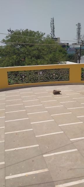 2 BHK Builder Floor For Rent in Sector 31