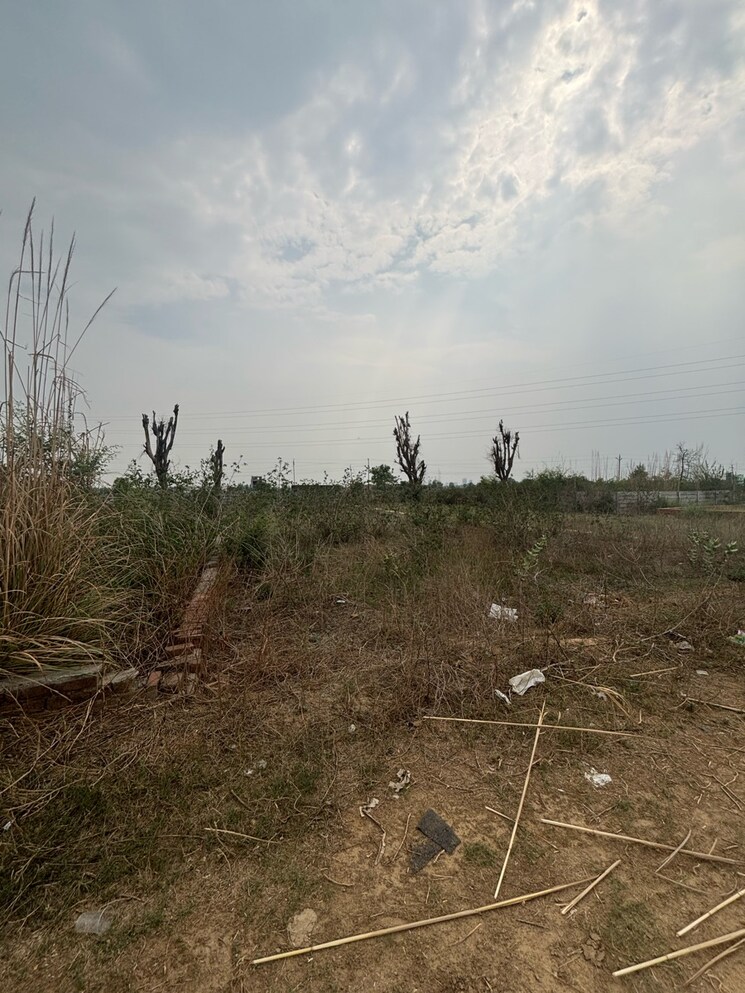 undefined, dairy maccha  1800 Sq.Ft. Plot In Dairy Maccha Greater Noida 8788726