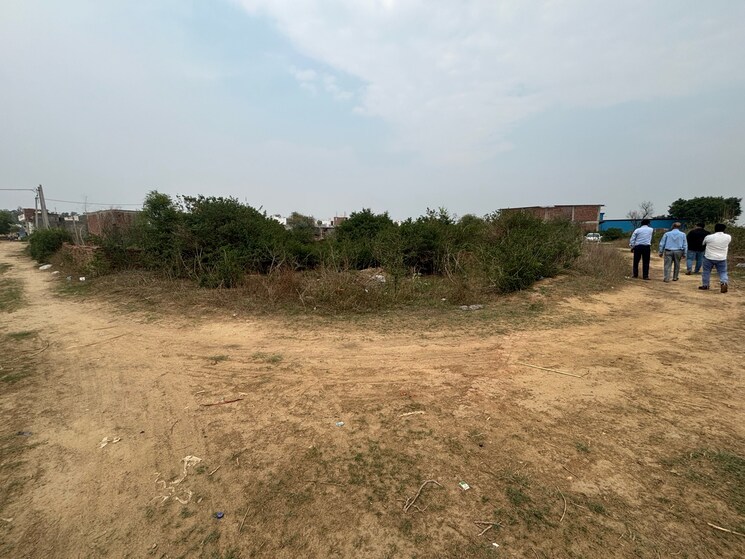 undefined, dairy maccha  1800 Sq.Ft. Plot In Dairy Maccha Greater Noida 8788726