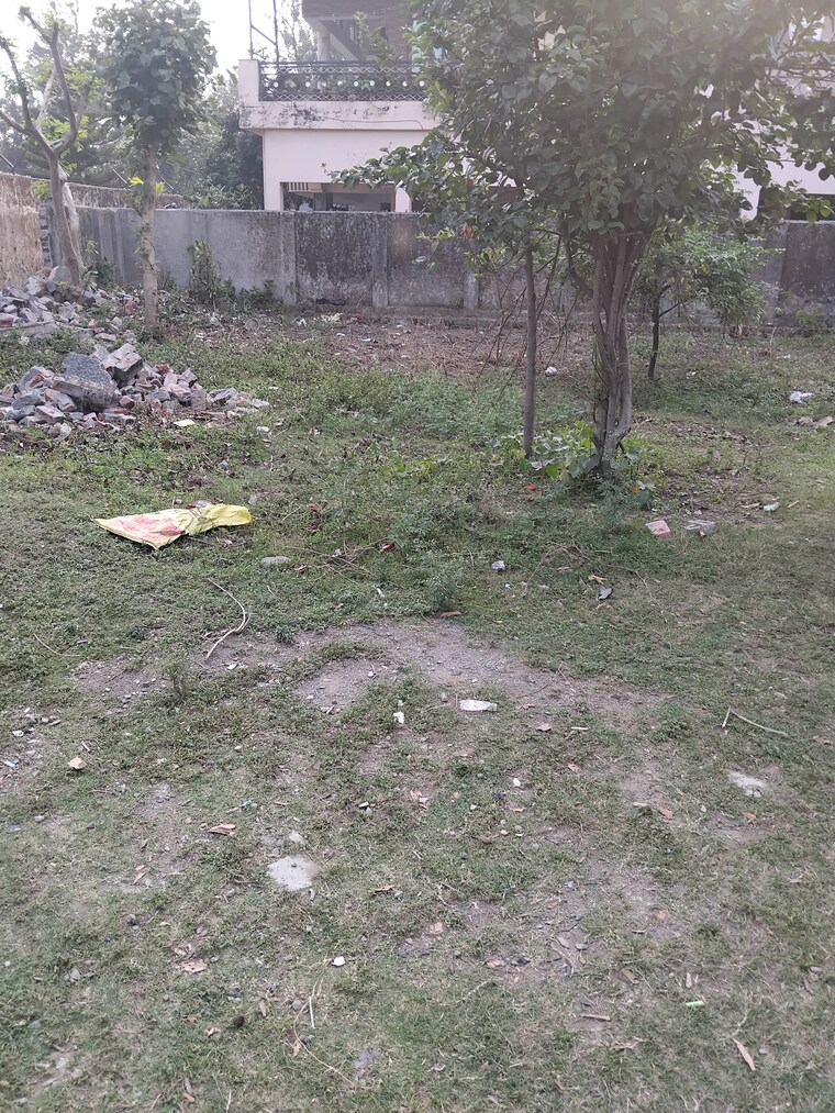 Garden, sunderwala  150 Sq.Yd. Plot In Sunderwala Dehradun 8789083