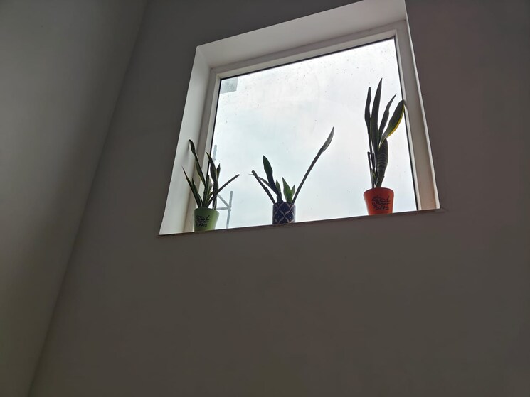 undefined, arya-chittaranjan-park 1 Bedroom 90 Sq.Yd. Builder Floor In Kalkaji Delhi 8789121