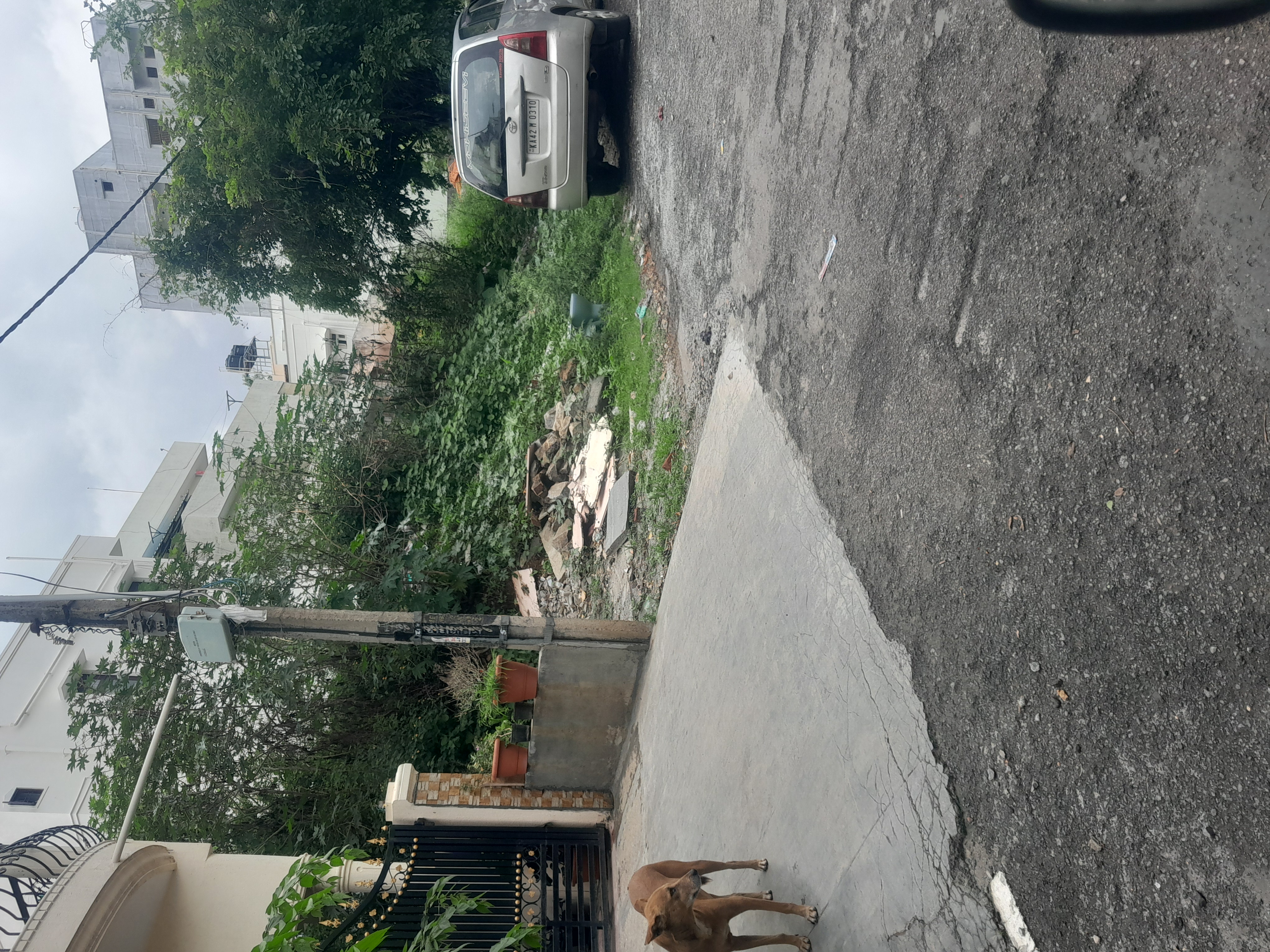 Plot For Sale in Nagarabhavi